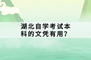 湖北自學考試本科的文憑有用？