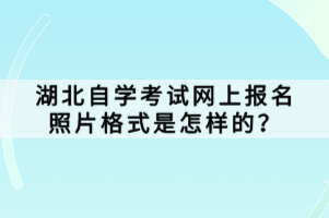 湖北自學(xué)考試網(wǎng)上報名照片格式是怎樣的？