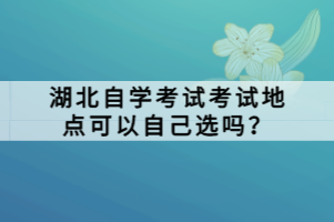 湖北自學(xué)考試考試地點可以自己選嗎？