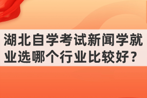 湖北自學(xué)考試新聞學(xué)就業(yè)選哪個(gè)行業(yè)比較好？