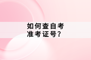 如何查自考準考證號？