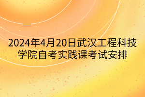 2024年4月20日武漢工程科技學院自考實踐課考試安排