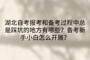 湖北自考報(bào)考和備考過程中總是踩坑的地方有哪些？備考新手小白怎么開展？