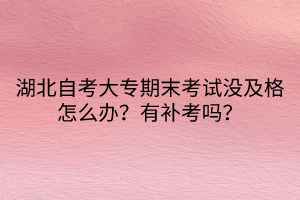 湖北自考大專期末考試沒及格怎么辦？有補考嗎？