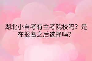 湖北小自考有主考院校嗎？是在報名之后選擇嗎？