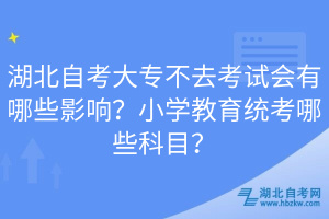 湖北自考大專不去考試會有哪些影響？小學教育統(tǒng)考哪些科目？