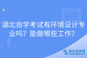 湖北自學(xué)考試有環(huán)境設(shè)計(jì)專業(yè)嗎？能做哪些工作？