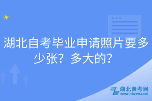 湖北自考畢業(yè)申請照片要多少張？多大的？