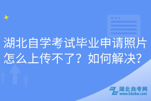 湖北自學(xué)考試畢業(yè)申請照片怎么上傳不了？如何解決？