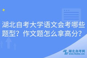 湖北自考大學(xué)語文會考哪些題型？作文題怎么拿高分？