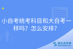 小自考統(tǒng)考科目和大自考一樣嗎？怎么安排？