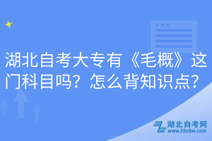 湖北自考大專有《毛概》這門科目嗎？怎么背知識(shí)點(diǎn)？