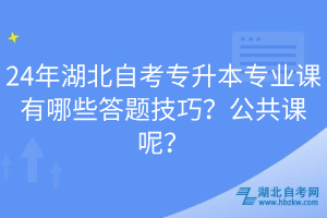 24年湖北自考專升本專業(yè)課有哪些答題技巧？公共課呢？