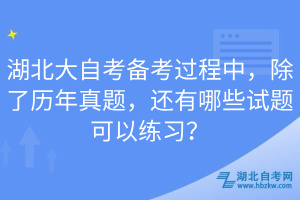 湖北大自考備考過程中，除了歷年真題，還有哪些試題可以練習(xí)？