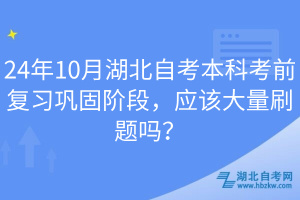 24年10月湖北自考本科考前復習鞏固階段，應該大量刷題嗎？