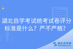 湖北自學(xué)考試統(tǒng)考試卷評(píng)分標(biāo)準(zhǔn)是什么？嚴(yán)不嚴(yán)格？