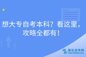 想大專自考本科？看這里，攻略全都有！