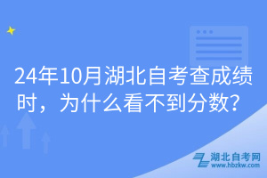 24年10月湖北自考查成績時(shí)，為什么看不到分?jǐn)?shù)？