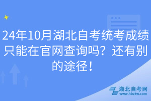 24年10月湖北自考統(tǒng)考成績(jī)只能在官網(wǎng)查詢嗎？還有別的途徑！