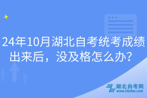 24年10月湖北自考統(tǒng)考成績出來后，沒及格怎么辦？