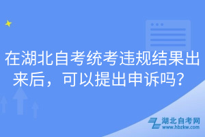 在湖北自考統(tǒng)考違規(guī)結(jié)果出來后，可以提出申訴嗎？