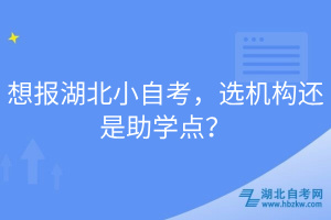 想報(bào)湖北小自考，選機(jī)構(gòu)還是助學(xué)點(diǎn)？