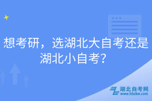 想考研，選湖北大自考還是湖北小自考？