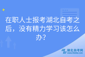 在職人士報考湖北自考之后，沒有精力學(xué)習(xí)該怎么辦？