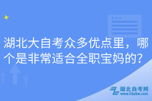 湖北大自考眾多優(yōu)點里，哪個是非常適合全職寶媽的？