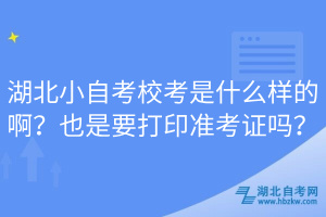 湖北小自考?？际鞘裁礃拥陌?？也是要打印準(zhǔn)考證嗎？