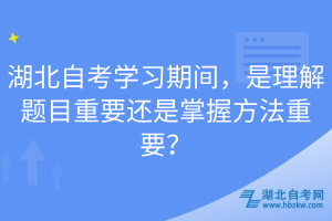 湖北自考學(xué)習(xí)期間，是理解題目重要還是掌握方法重要？