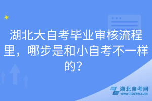 湖北大自考畢業(yè)審核流程里，哪步是和小自考不一樣的？