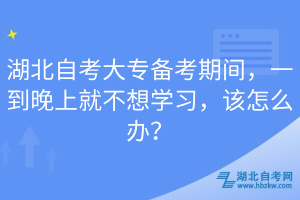 湖北自考大專備考期間，一到晚上就不想學(xué)習(xí)，該怎么辦？