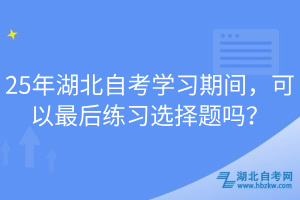 25年湖北自考學(xué)習(xí)期間，可以最后練習(xí)選擇題嗎？