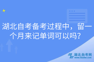 湖北自考備考過程中，留一個(gè)月來記單詞可以嗎？