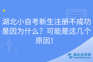 湖北小自考新生注冊不成功是因為什么？可能是這幾個原因！