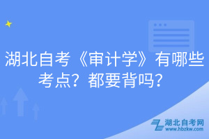 湖北自考《審計學(xué)》有哪些考點(diǎn)？都要背嗎？