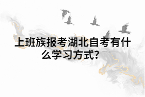 上班族報考湖北自考有什么學習方式？