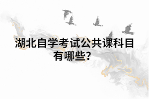 湖北自學(xué)考試公共課科目有哪些？