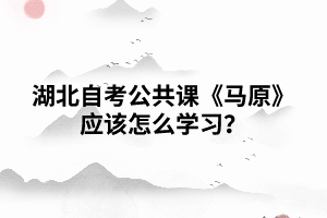 湖北自考公共課《馬原》應該怎樣學習？