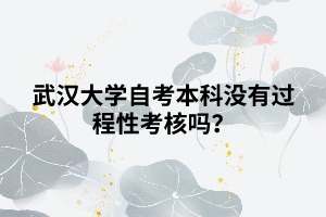 武漢大學(xué)自考本科沒有過程性考核嗎