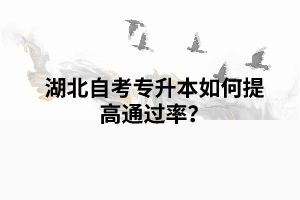 湖北自考專升本如何提高通過率？