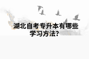 湖北自考專升本有哪些學習方法？