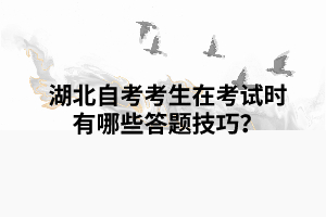 湖北自考考生在考試時有哪些答題技巧？