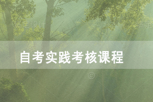 2021年湖北自考人力資源管理專業(yè)實(shí)踐考核課程