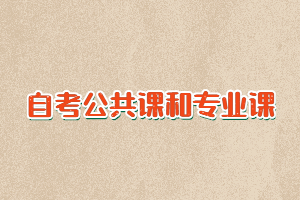 自考公共課和專業(yè)課各有多少門課程要考？