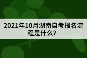 2021年10月湖南自考報名流程是什么？