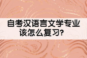 自考漢語言文學(xué)專業(yè)該怎么復(fù)習(xí)？