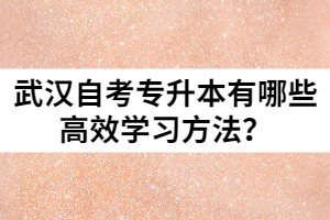 武漢自考專升本有哪些高效學(xué)習(xí)方法？