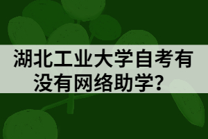 湖北工業(yè)大學(xué)自考有沒(méi)有網(wǎng)絡(luò)助學(xué)？